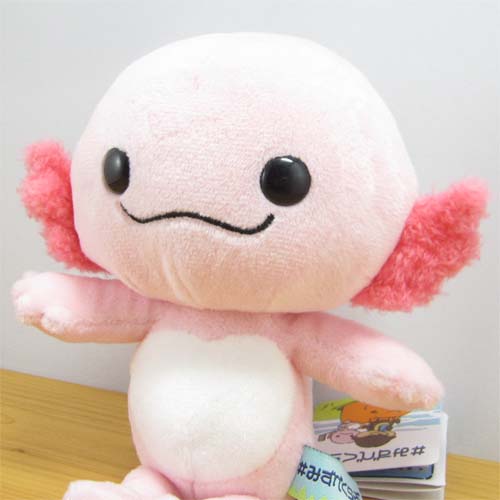 ＃みずべくらぶ　ビーンドール　タピオカ（ウーパールーパー）